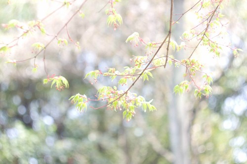 一个花盆几斤土（一个花盆用几斤土）